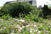 Gehegeansicht_c.JPG (47448 Byte)